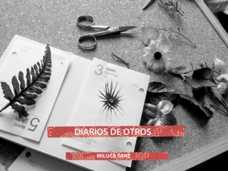 Diario de Otros – Espacio Valverde